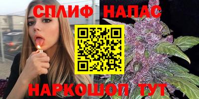 ГАЛЛЮЦИНОГЕННЫЕ ГРИБЫ Будённовск