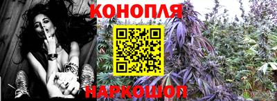 ГАЛЛЮЦИНОГЕННЫЕ ГРИБЫ Будённовск