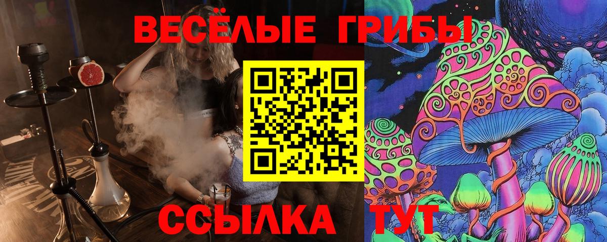 где можно купить наркотик  Псилоцибиновые грибы мицелий  Псилоцибиновые грибы Psilocybine cubensis  Вход с VPN  Тамбов 