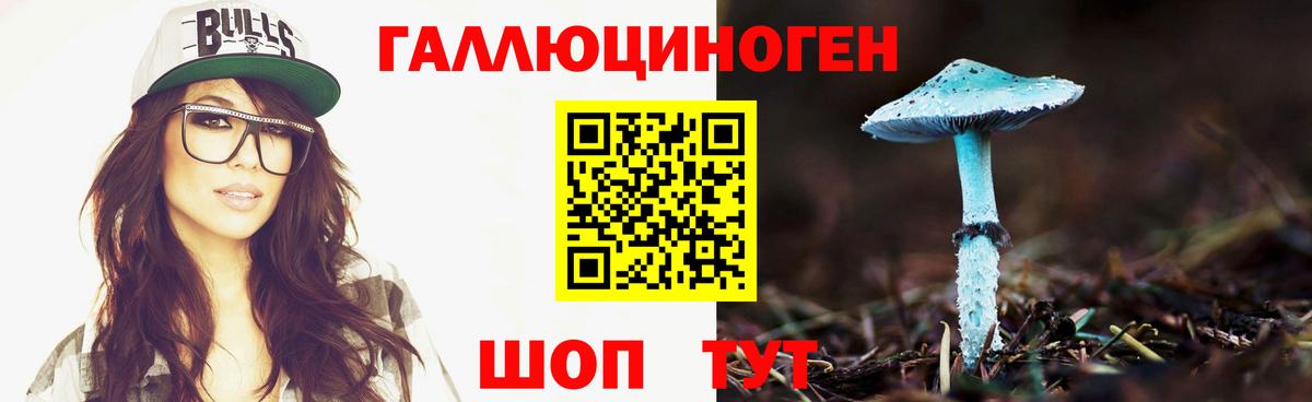 Псилоцибиновые грибы Cubensis Тамбов